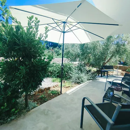 Garden *