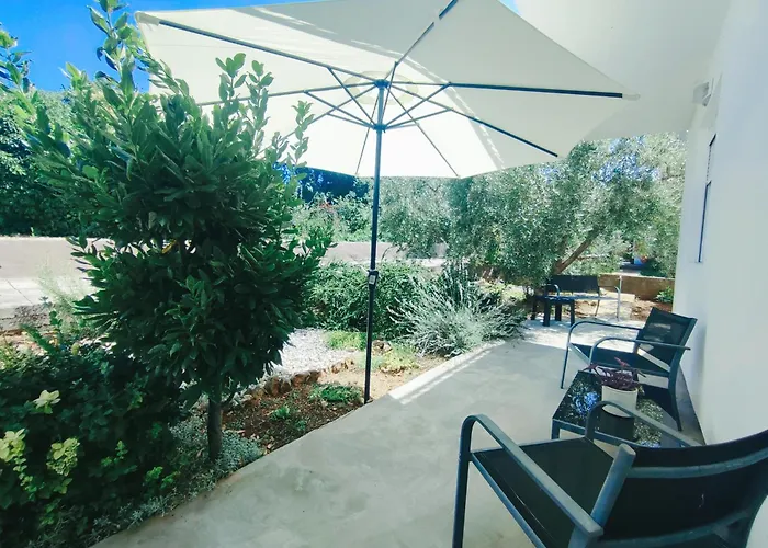 Garden *