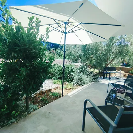 Garden *